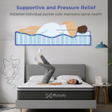 10 Inch Hybrid Mattress in A Box with Gel Memory Foam for Home Organization image 4