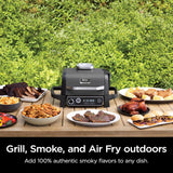 7-in-1 Multi-functional (barbecue, Slow Roast, Bake, Air Fry, Dehydration, Grill, Smoking) | Portable and Highly Weather-resistant | Capable... image 2
