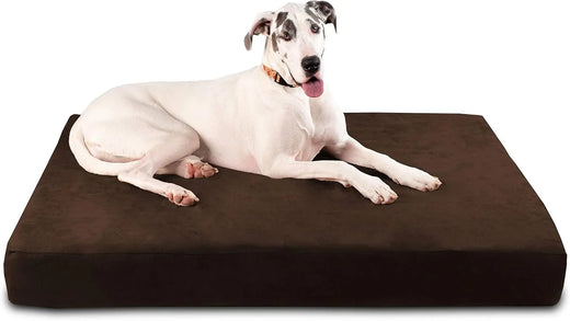 Fashion Oversized Dog Bed (XL Size, Dark Gray) - Thickness 7 Inches, Soft and Comfortable, Ergonomic Cushion - Oversized Dog Bed - Durable...
