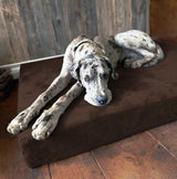 Fashion Oversized Dog Bed (XL Size, Dark Gray) - Thickness 7 Inches, Soft and Comfortable, Ergonomic Cushion - Oversized Dog Bed - Durable... image 2