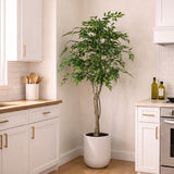 Faux 6.5' Ficus Tree view 3