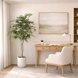 Faux 6.5' Ficus Tree view 4