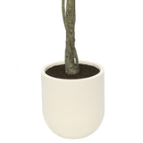 Faux 6.5' Ficus Tree view 5