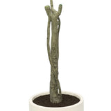 Faux 6.5' Ficus Tree view 6