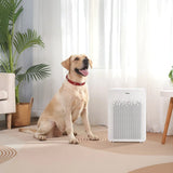 Germguardian - Air Purifier with Hepa Filter and Odor Control, 2 Pack for Home Use image 6