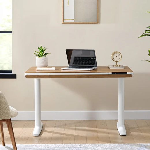 Nico Case 117 Cm (46.1 In.) Height Adjustable Lift Desk, White Frame for Home Office