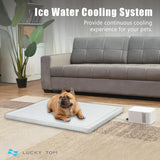Pet Bed Cooling System, Consistent Warm and Cold Water Pad, No Electric Shock or Chemical Gel Needed, Machine Washable Bed, Ideal for Home... image 2