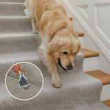 Shark StainStriker Corded Portable Carpet & Upholstery Cleaner image 3