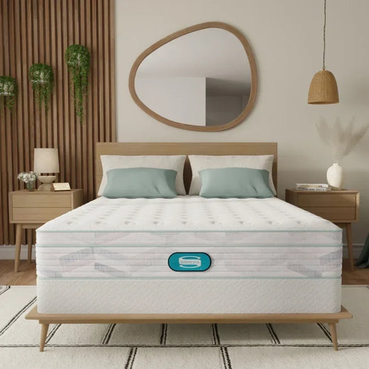 Simmons Bowman 27.9 Cm (11 In.) Mattress or Set for Home Organization