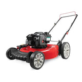 Walk Behind Push Mower with Briggs and Straton Engine for Outdoor Spaces image 2